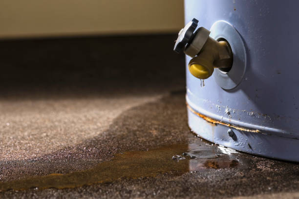 Best Ceiling water damage repair  in Bull Shoals, AR
