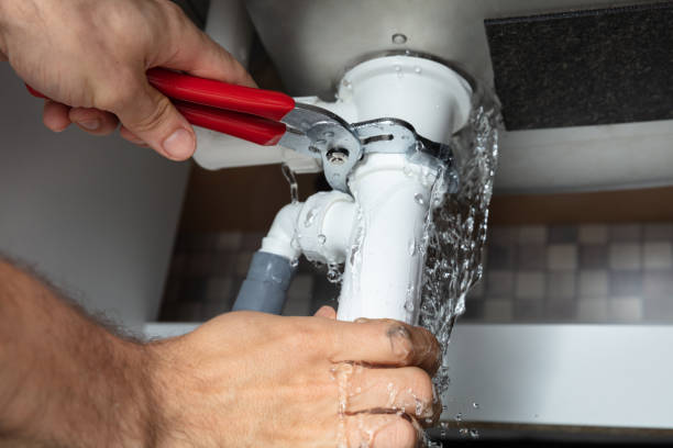 Best Professional water damage repair  in Bull Shoals, AR