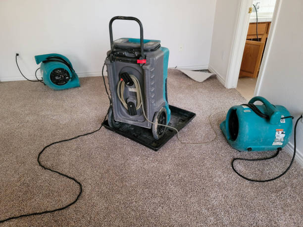 Bull Shoals, AR Water damage restoration Company