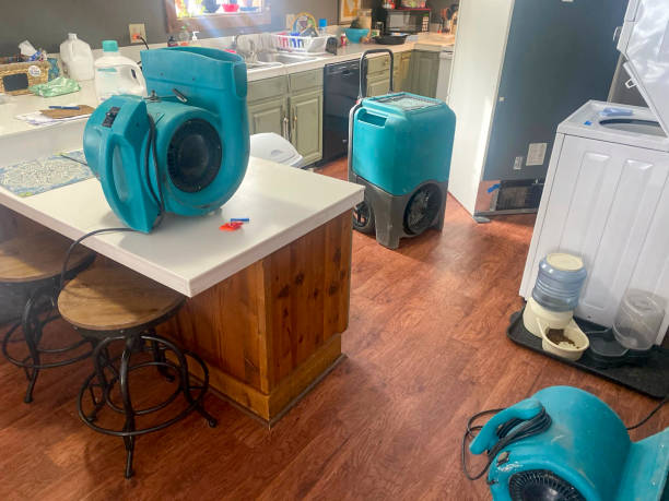 Best Water damage restoration near me  in Bull Shoals, AR