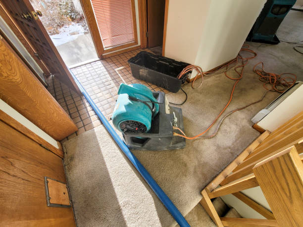 Best 24/7 water damage repair  in Bull Shoals, AR