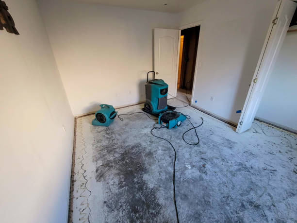 Best Local water damage restoration  in Bull Shoals, AR