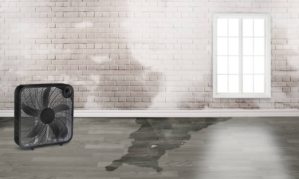 Sewage cleanup and water damage restoration in Bull Shoals, AR