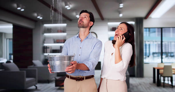 Best Flooded house restoration  in Bull Shoals, AR