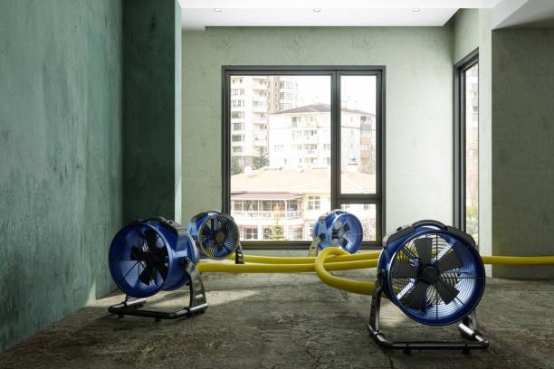 Best Water damage repair service  in Bull Shoals, AR
